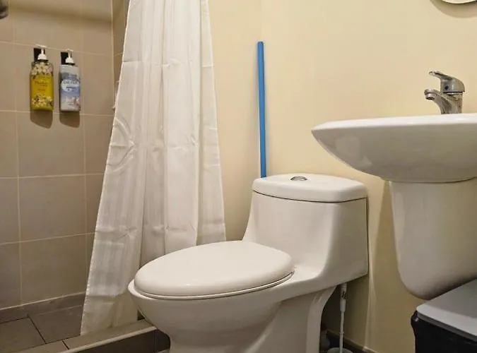 Avida Riala T3 1710/cebu It Park Apartment Cebu